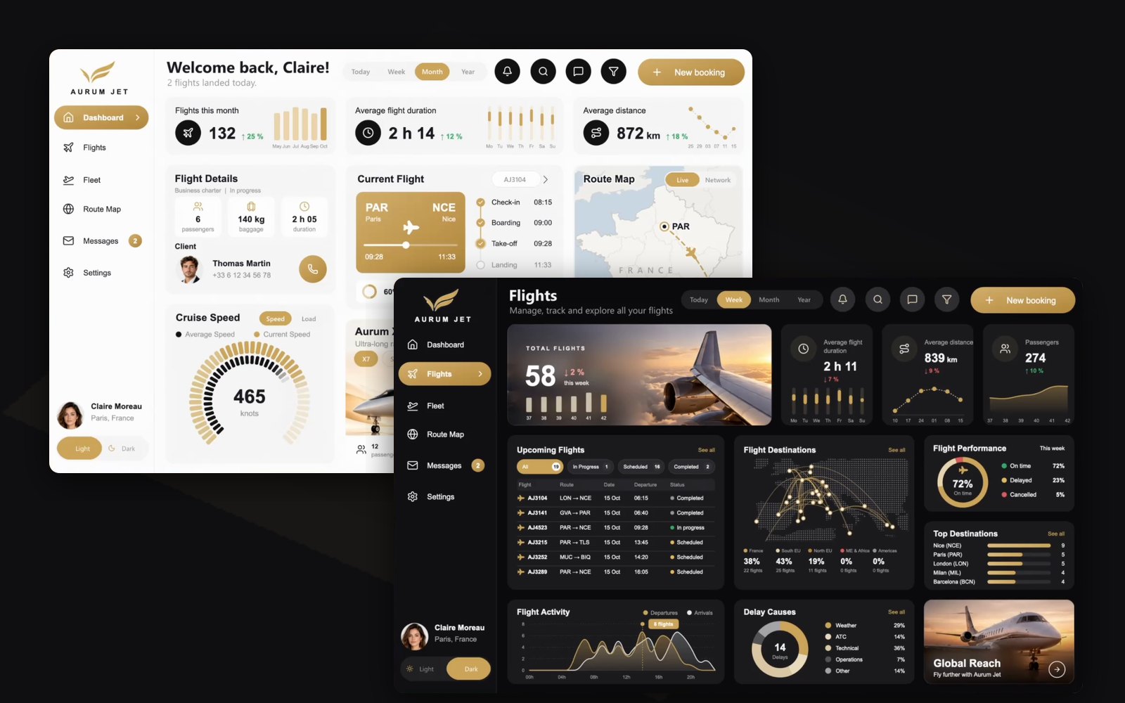 The Aurum Jet Dashboard in Light mode and the Flights page in Dark mode, two pages of a Power BI report built with native visuals only