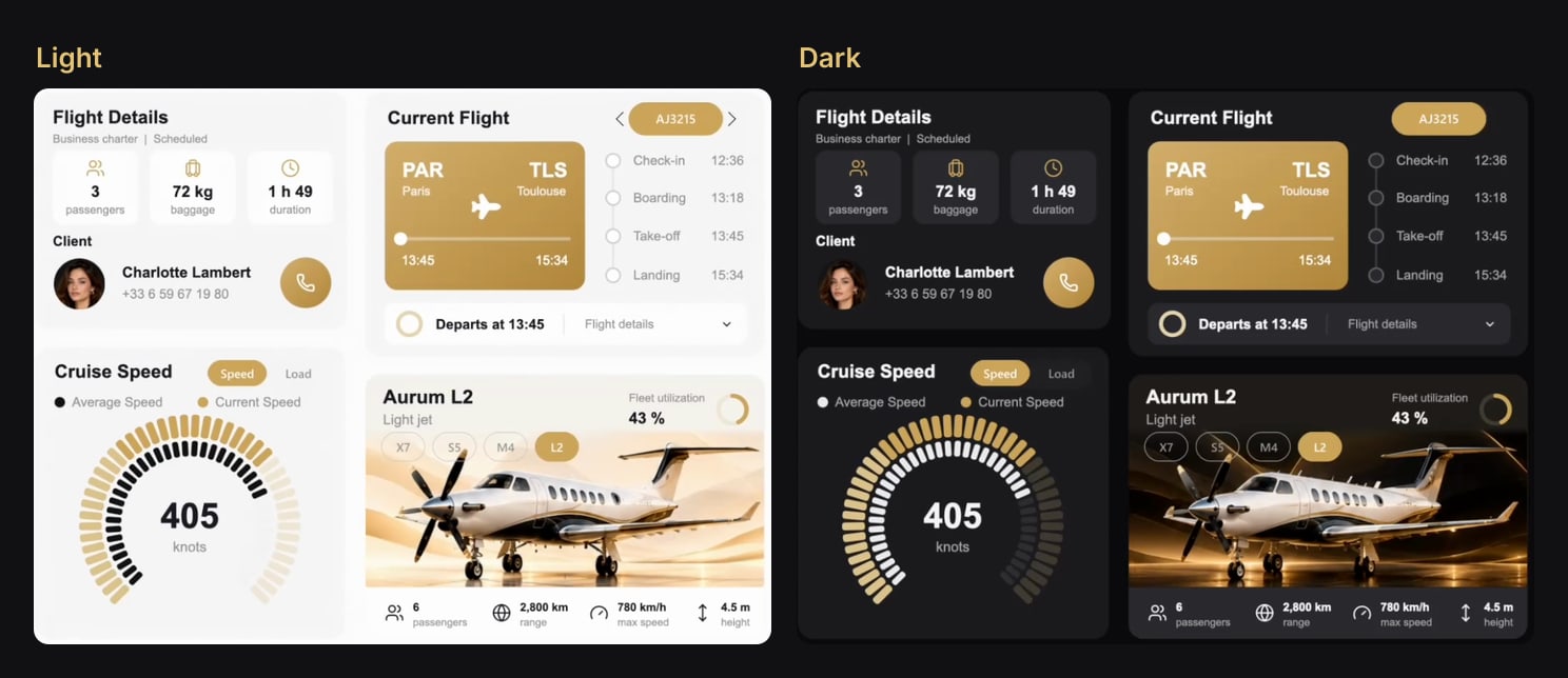 The same four cards in Light and in Dark: flight details, current flight, cruise speed and the fleet card, whose jet photo changes from a cream studio to a night setting